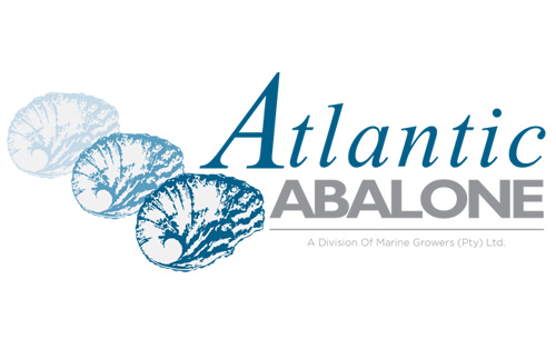  Atlantic Abalone